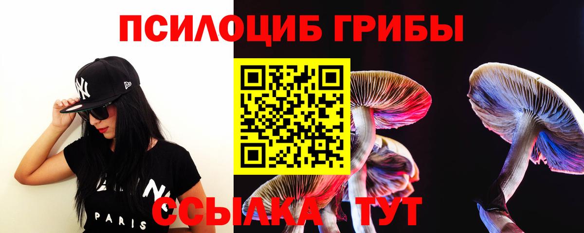 Кимовск  Галлюциногенные грибы прущие грибы  Вход с VPN  Псилоцибиновые грибы GOLDEN TEACHER 